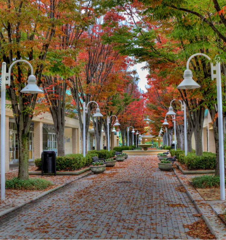small street in columbia maryland